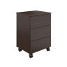 Рапид R-301+ 3 ручки вита 400x350x579 тумба для стойки ресепшен
