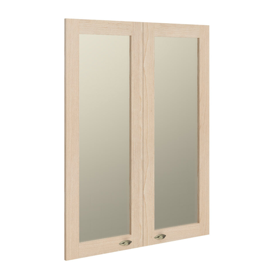 Raut RGFD 42-2  880х27х1132  двери рамочные стеклянные
