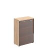 Torr-Z TMC 85.2  856х450х1203 шкаф с глухими средними дверьми и топом