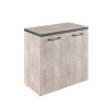 Torr TLC 85.1  856х450х833 шкаф с глухими малыми дверьми и топом
